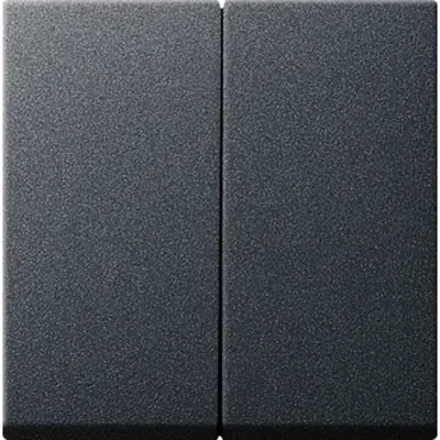 Gira wippe 2-fach System 55 anthrazit matt Altmodell (029528)