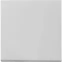 Gira wippe System 55 grau matt Altmodell (0296015)