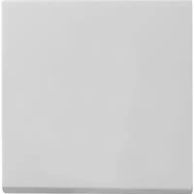 Gira wippe System 55 grau matt Altmodell (0296015)