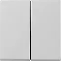 Gira wippe 2-fach System 55 grau matt Altmodell (0295015)