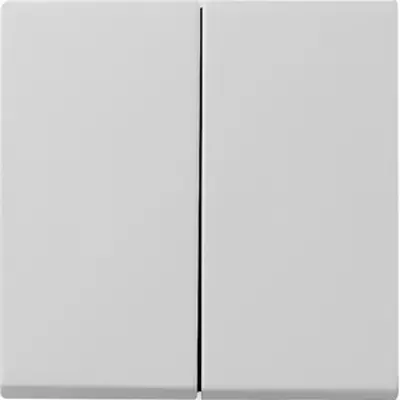 Gira wippe 2-fach System 55 grau matt Altmodell (0295015)