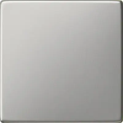 Gira wippe System 55 edelstahl Altmodell (0296600)