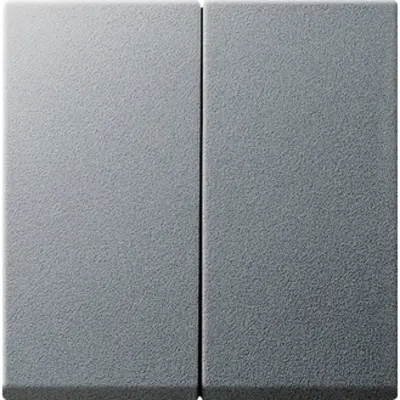 Gira wippe 2-fach System 55 aluminium matt Altmodell (029526)