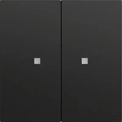 Gira KNX Taster Wippe 2-fach System 70 schwarz matt für Gira One und KNX-System (517374)