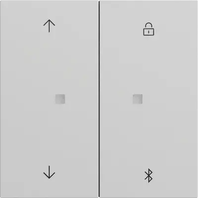 Gira Bluetooth-Bedienelement mit Pfeilsymbolen System 3000 System 70 mattgrau (536776)