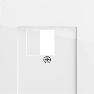 Gira Zentralplatte für TAE und USB System 70 weiß glänzend (027670)