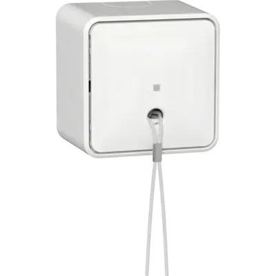 Gira Aufputz-Zugschalter mit interner Montageplatte 10A weiß (314613)