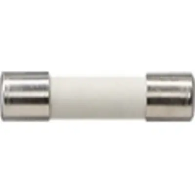 Gira zekering t6.3h 250v (049841)