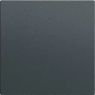 Gira Wippe gerade stehend System 70 anthrazit matt (349673)