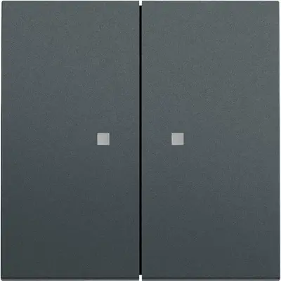 Gira Wippe 2-fach mit Kontrollfenster System 70 anthrazit matt (363173)
