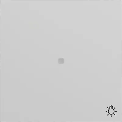 Gira wip ctrl.v.+sym.licht s70 mgs (367476)