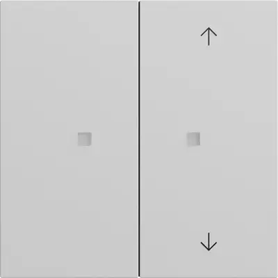 Gira KNX Tastsensor 2-fach System 70 Grau matt (517576)