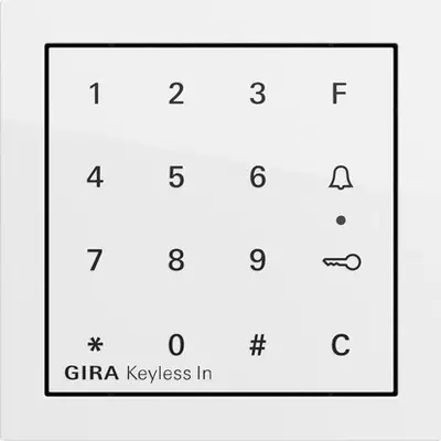 Gira codeklaviermod. s70 wt (260570)
