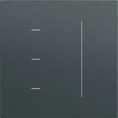 Gira Touch-Dimmer-Bedienaufsatz System 3000 System 70 Anthrazit matt (536573)