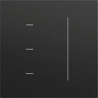 Gira Touch-Dimmer-Bedienaufsatz System 3000 System 70 Schwarz matt (536574)
