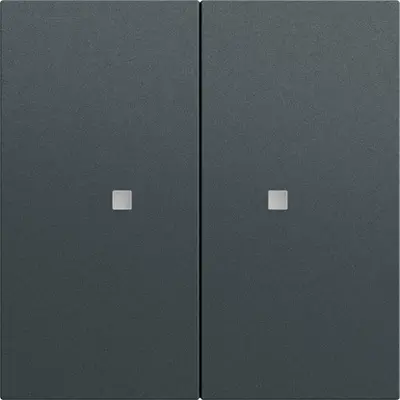 Gira System 3000 Wippe 2-fach System 70 Anthrazit matt (536973)