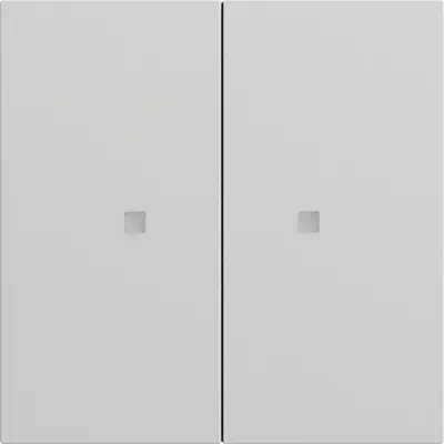 Gira System 3000 Wippe 2-fach System 70 Grau matt (536976)