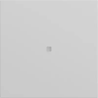 Gira Ersatzwippe mit Kontrollfenster für System 3000 Bedienaufsätze System 70 Grau matt (537176)