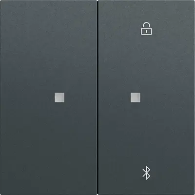 Gira System 3000 Bluetooth bedienaufsatz System 70 Anthrazit matt (538173)