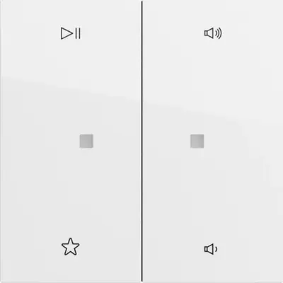 Gira Wippe 2-fach Audiosteuerung System 70 Reinweiß glänzend (538470)