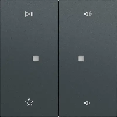 Gira Wippe 2-fach Audiosteuerung System 70 Anthrazit matt (538473)