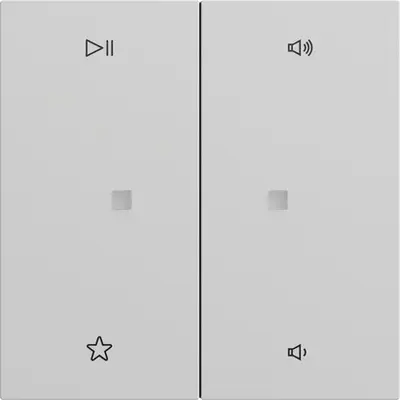 Gira Wippe 2-fach Audiosteuerung System 70 Grau matt (538476)