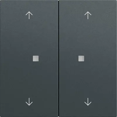 Gira 2-fach Ersatzwippen mit Pfeilsymbolen und Kontrollfenster für System 3000 Bedienaufsätze System 70 Anthrazit matt (538673)