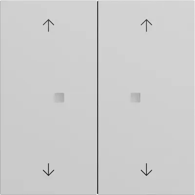 Gira 2-fach Ersatzwippen mit Pfeilsymbolen und Kontrollfenster für System 3000 Bedienaufsätze System 70 Grau matt (538676)