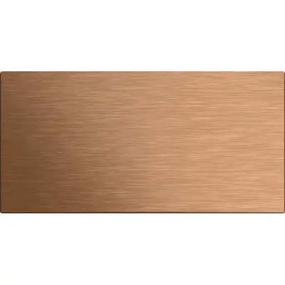 Gira belknop cpl 2v s106 bronspvd (5535921)