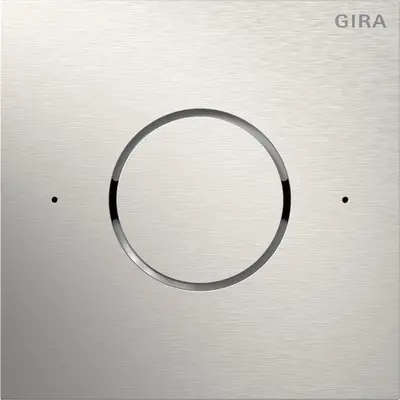 Gira frontpl. ip s106 staal (5544920)