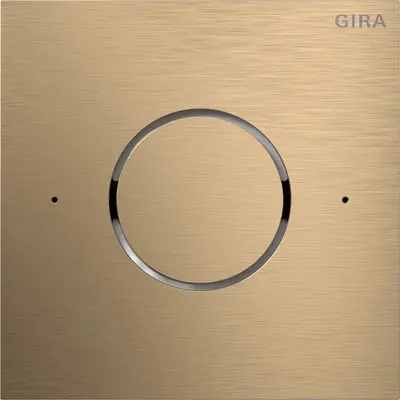 Gira frontpl. ip s106 brons (5544921)