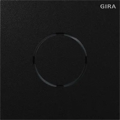 Gira spraakmod. s106 mzw (5563925)