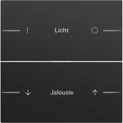 Gira wip voor wippenset 2-voudig individueel voor tastsensor 4.70 zwart mat (862274)