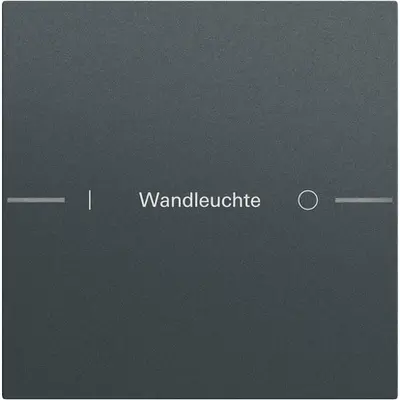 Gira wippenset 1-voudig individueel voor tastsensor 4.70 antraciet mat (576173)