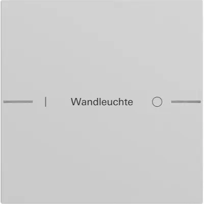 Gira wippenset 1-voudig individueel voor tastsensor 4.70 grijs mat (576176)