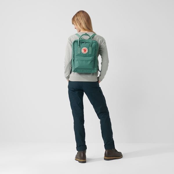 Fjallraven Kånken rugzak original  Frost Green 23510-664