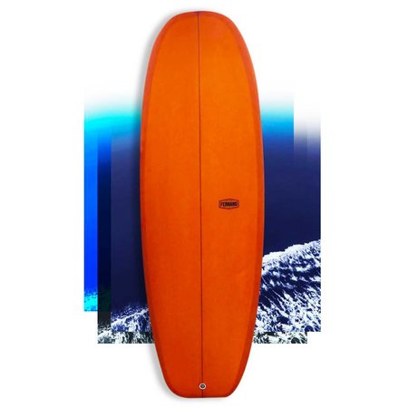 Fernand Surfboards mini simmons 5'5 // SOLD