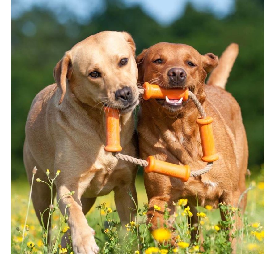 Dog Toy Dummy Tussle Large