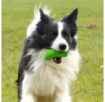 Major Dog Dog Toy Zucchini