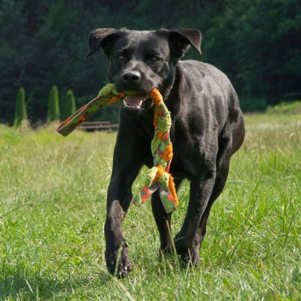 Afbeelding Hondenspeelgoed Braid door Petsonline