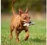 Major Dog Dog Toy Small Bone