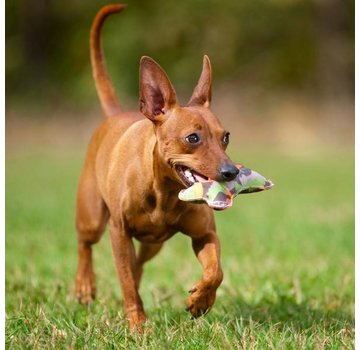 Major Dog Hondenspeelgoed Klein Bot