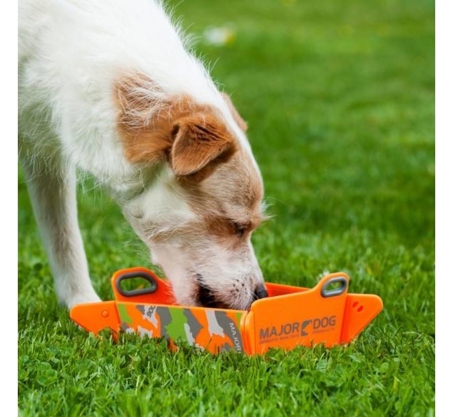 Foldable Bowl