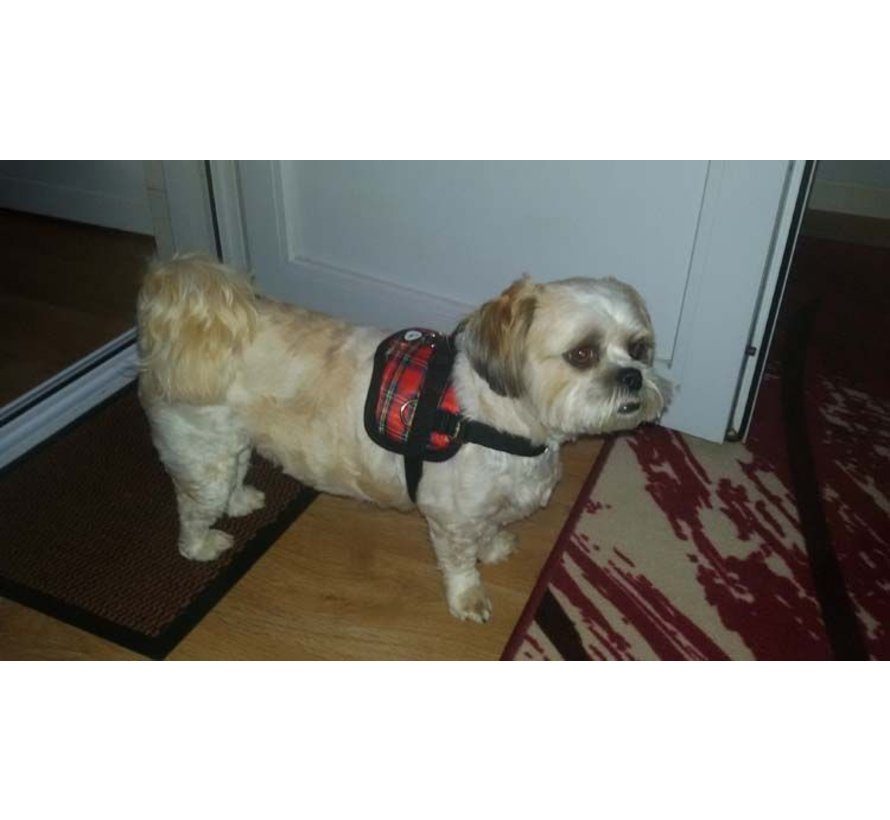 Dog Harness Survival Harness Tartan Red