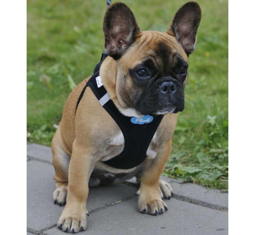 Hondentuig Air-Mesh Harness Black - Petsonline