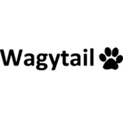 Wagytail