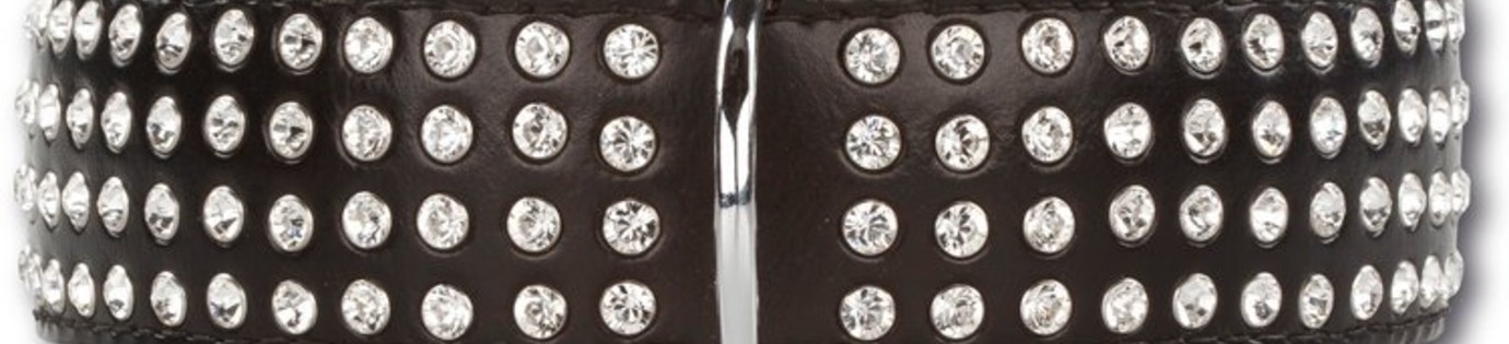 History of dog collars