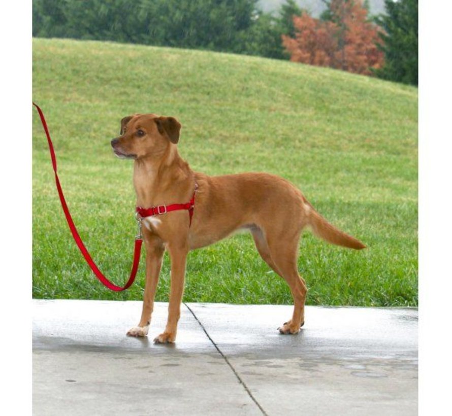 Easy Walk® Hondentuig Rood - Anti-Trek Set inclusief Riem