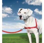 Petsafe Easy Walk® Hondentuig Rood - Anti-Trek Set inclusief Riem