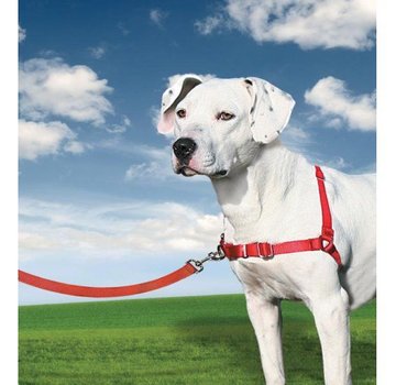 Petsafe Anti-Pull Dog Harness Easy Walk ® Red